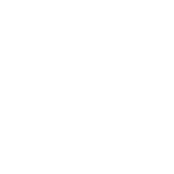 bucket