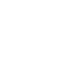 maze